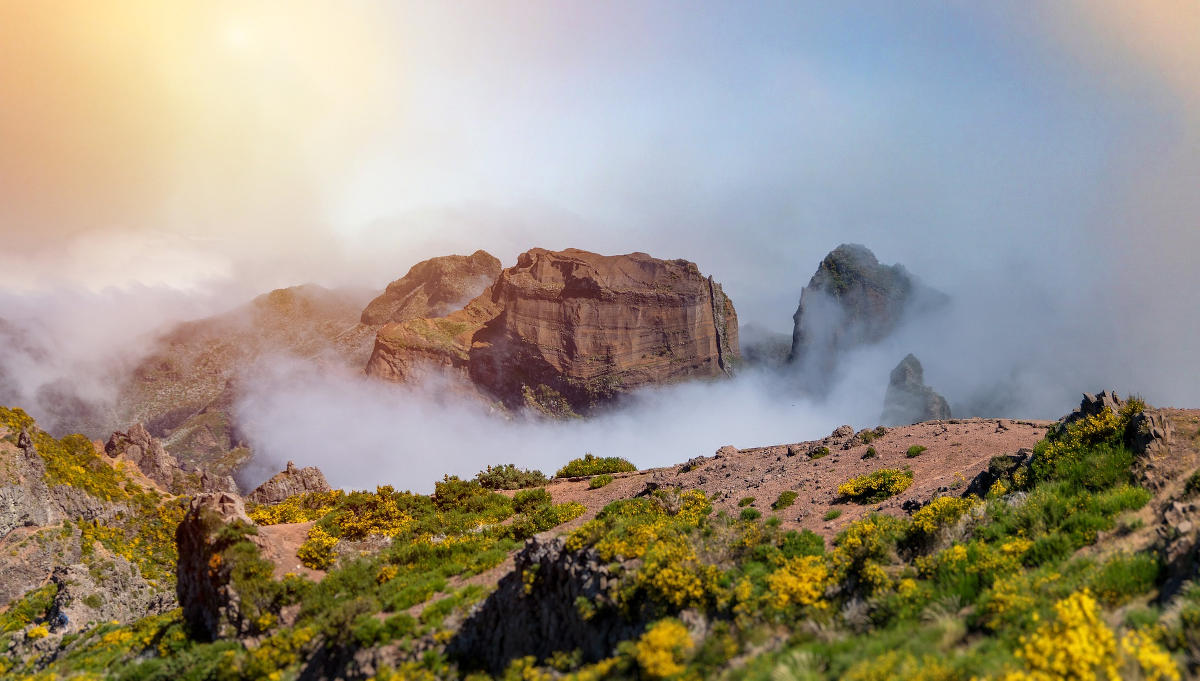 Madeira mountains in the fog