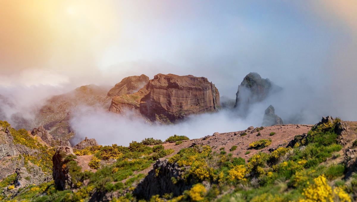 Montagne madérienne dans le brouillard