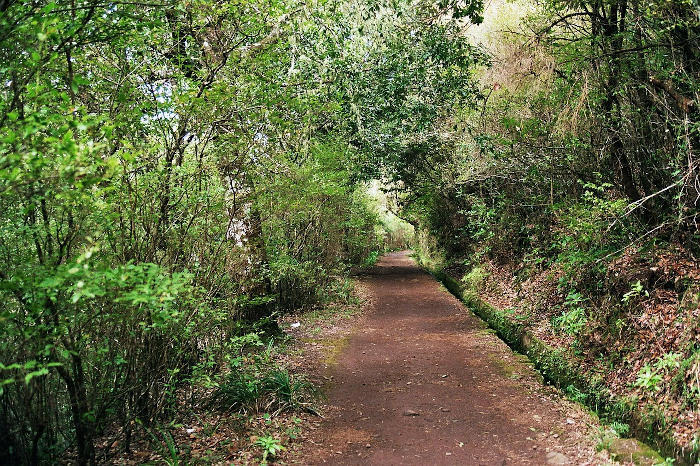 Hiking trail along a levada
