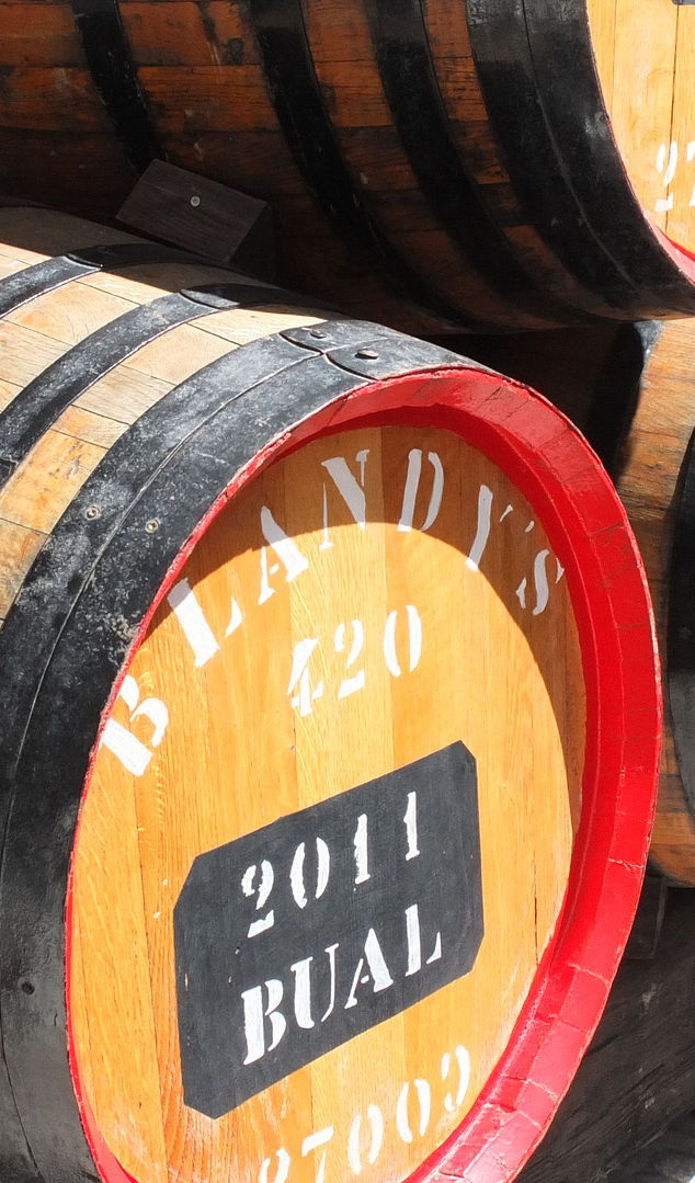 Barrel - Madeira wine - Blandy's house