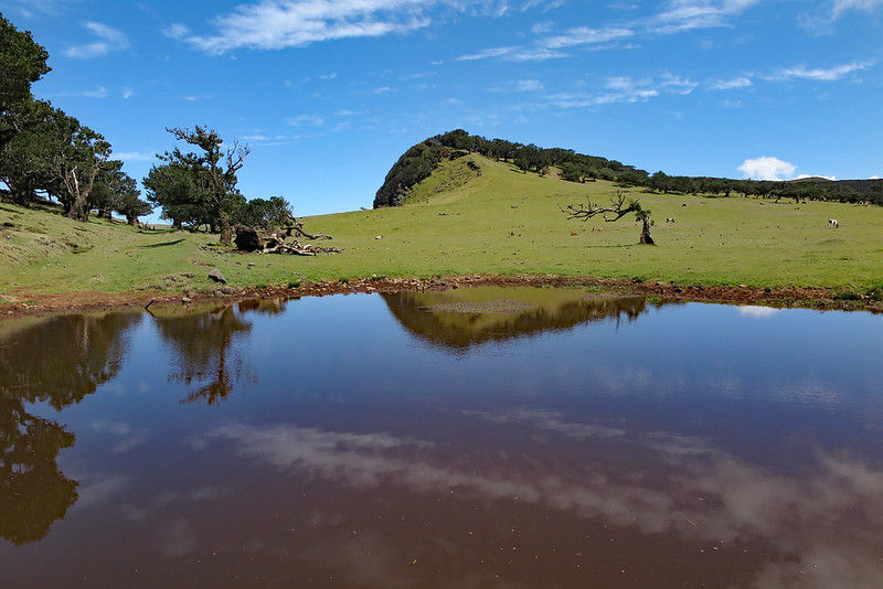Petite étendue d'eau Fanal