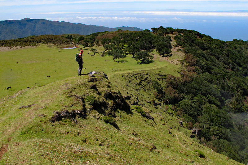 Hiker and Madeira valley panorama from Fanal