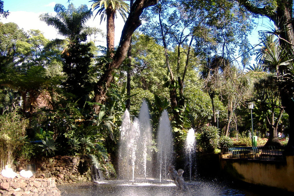 File:Lago do Jardim Municipal, Funchal - Aug 2012.jpg by cudi is licensed with CC BY 2.0. Jardin municipal de Funchal