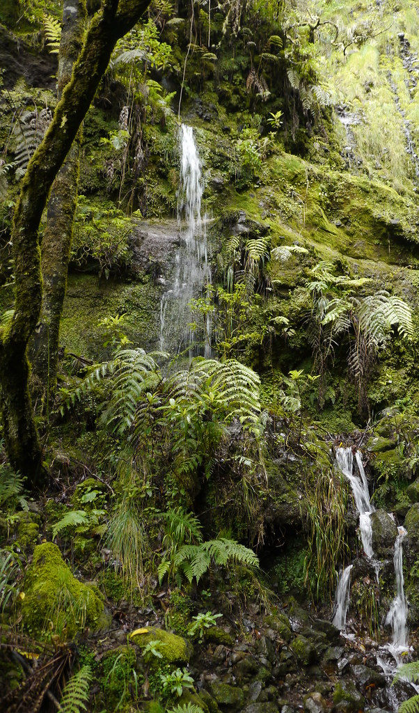 petite cascade à madere