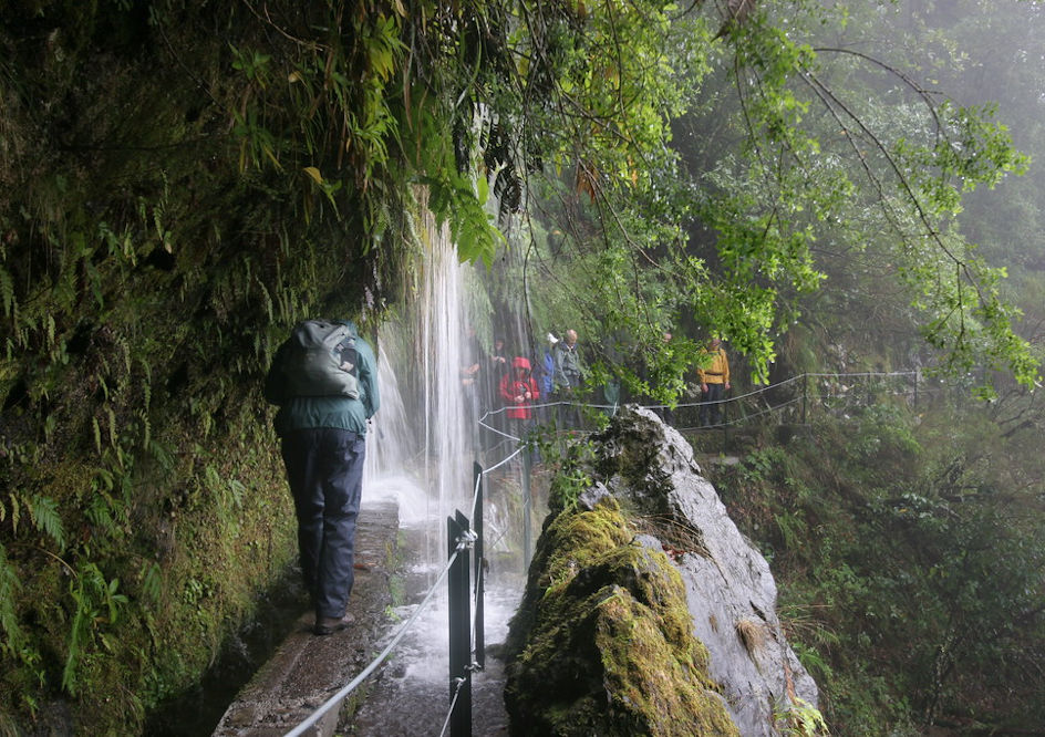 Madère, le Chaudron Vert randonnée sous la pluie