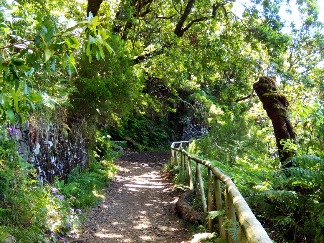 Levada do Risco