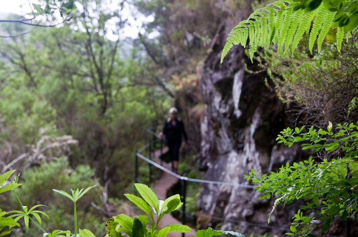 the safe and narrow path of the levada caldeirao verde