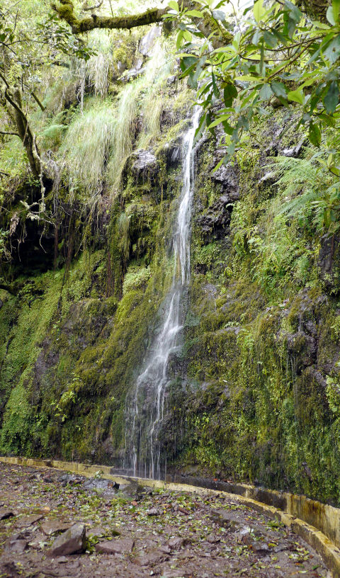 small waterfall levada do furado