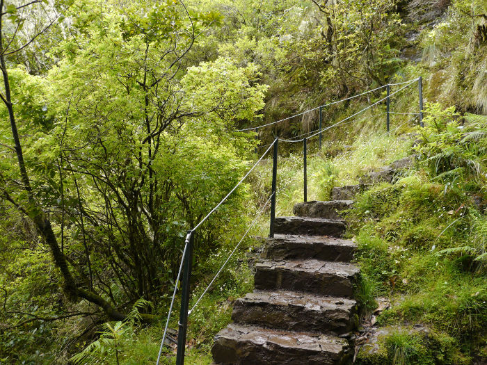 Stairs along the levada do furado