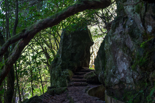 the rock cut along the levada do furado