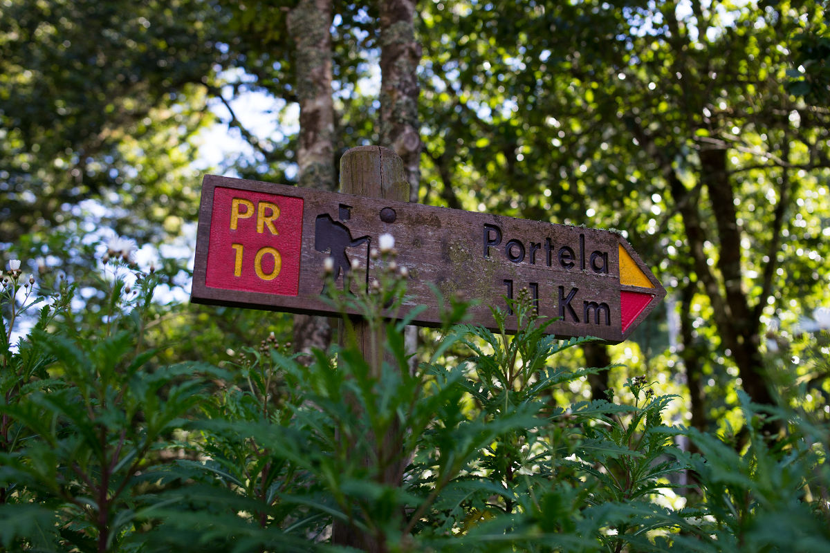 Isen Majennt levada do furado PR10 panel