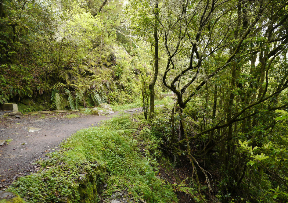 levada do furado trail