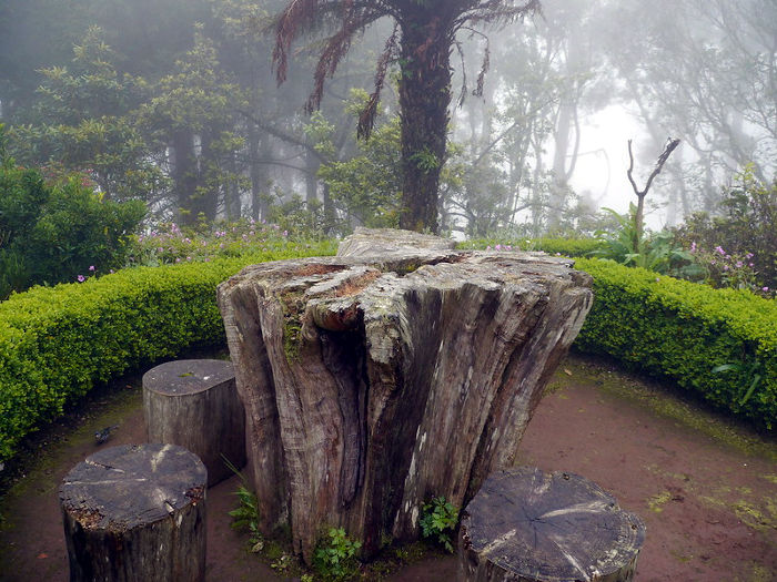 picnic table at portela