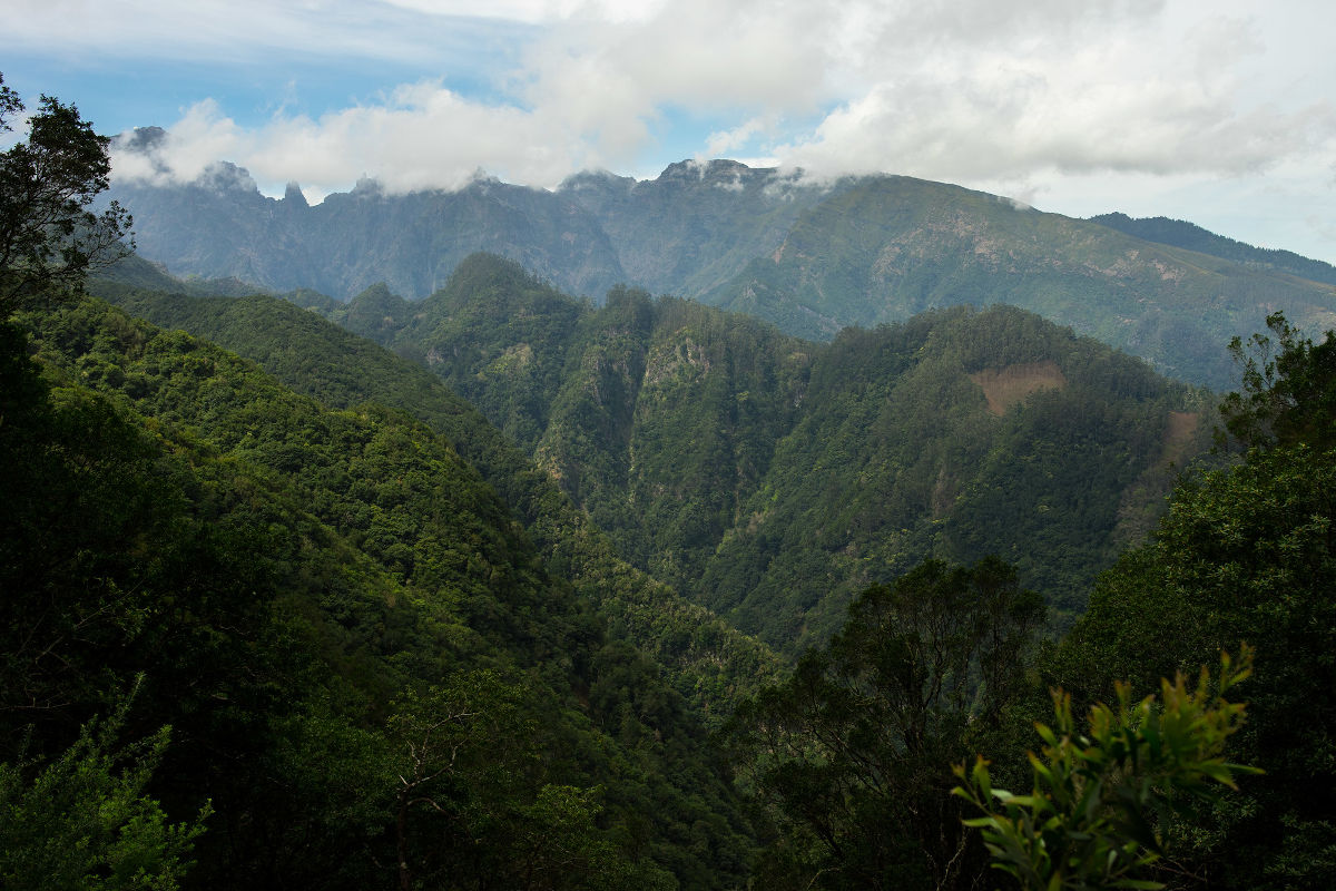 A panorama of Madeira's valleys