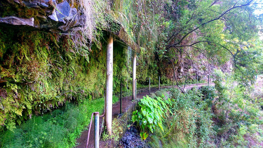 Le sentier pas toujours très entretenu mais très joli de la levada no levada do moinho