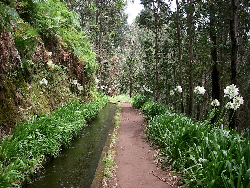 Levada da Central da Ribeira da Janela