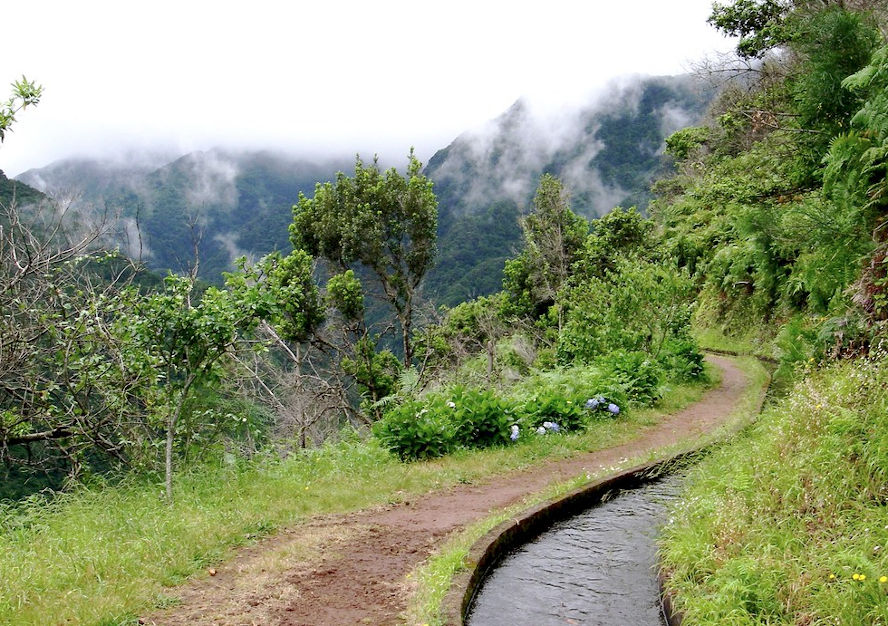 levada ribeira da janela