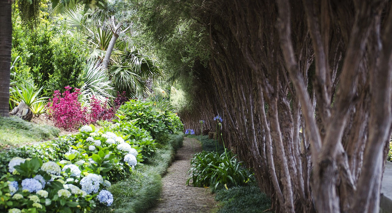 Flower gardens of Funchal