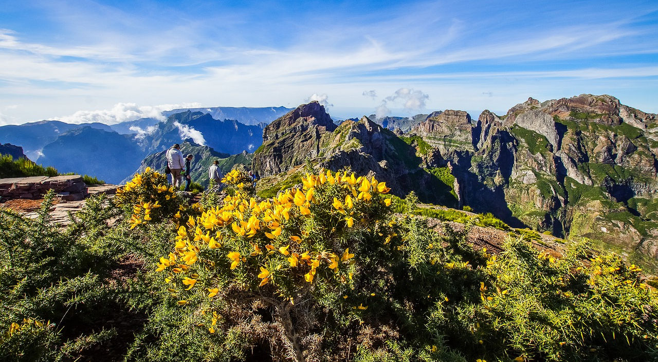 Montagne Madère : les picos