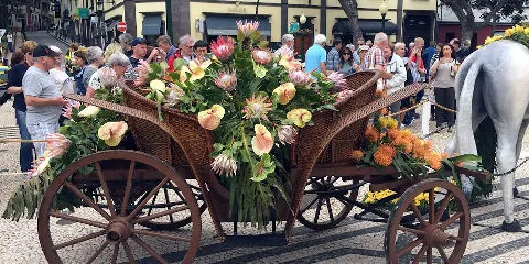 La fête des fleurs