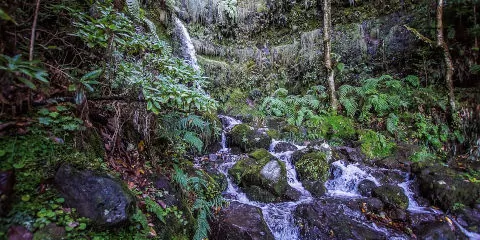 Les plus belles photos de cascades à Madère