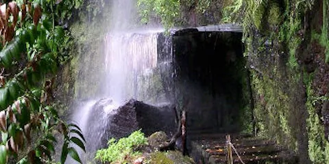 Levada Ribeira da Janela