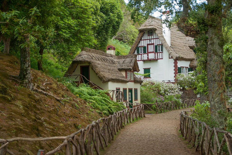 L'abri forestier du parc de Queimada