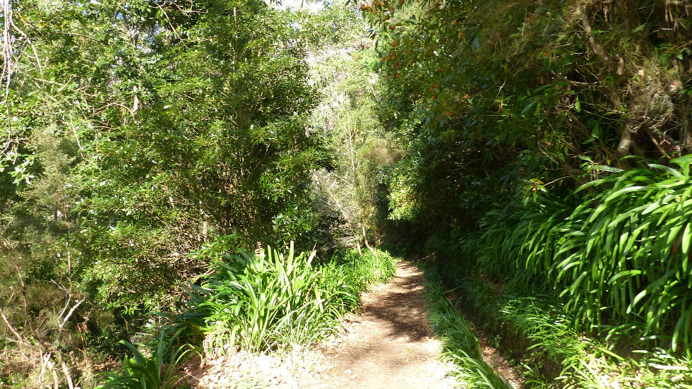 Randonnée dans le parc de Queimada