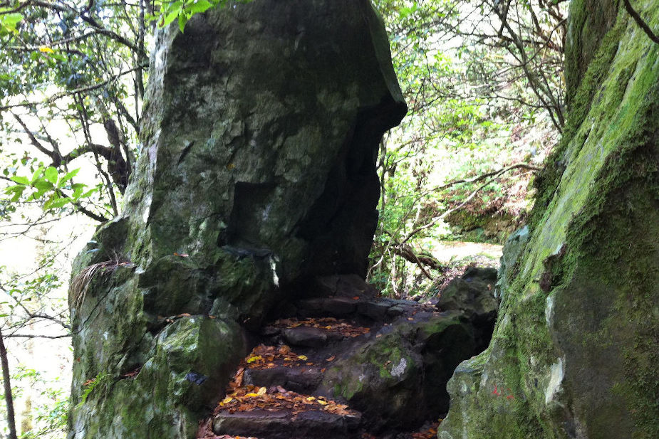 la roche du parc naturel ribeiro frio, le long de la levada