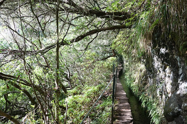 Randonnée Caldeira Verde, Madere